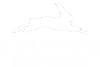 Courier Express logo